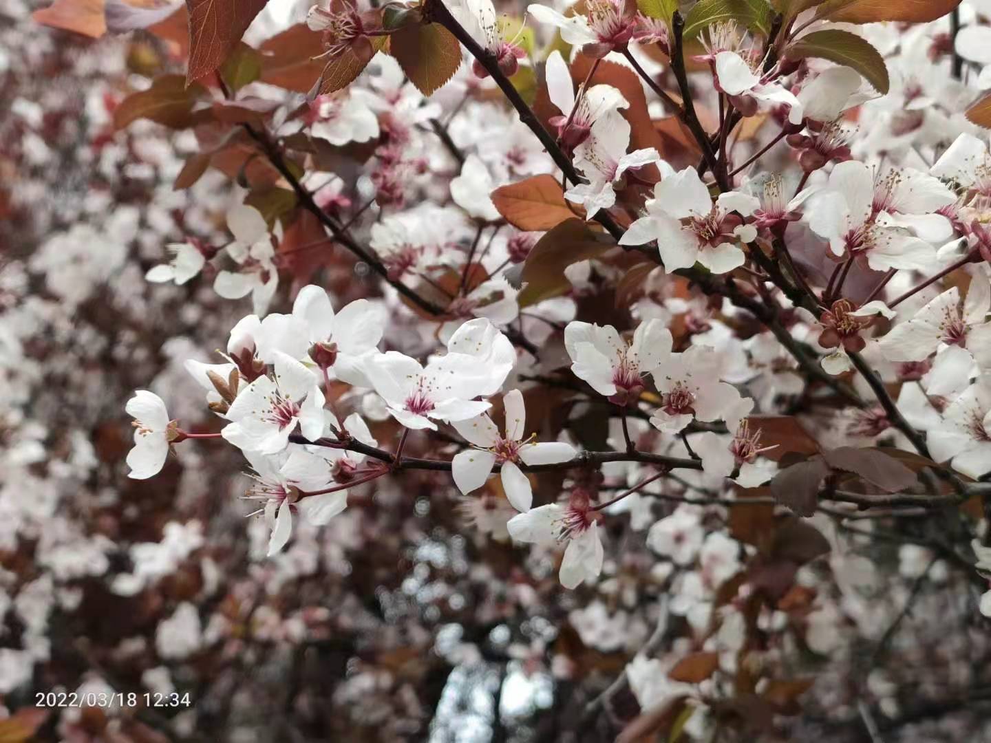 1650338439283880.jpg 微信圖片_20220323112647.jpg